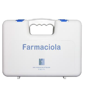 Farmaciola portàtil: sector tallers mecànics